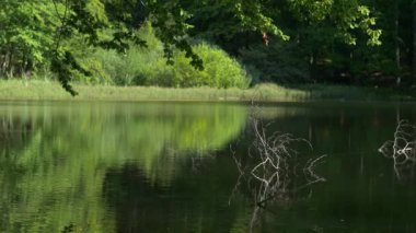 Polonya'nın güzel manzaralar.