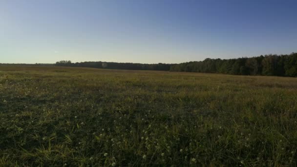 Outono paisagem rural — Vídeo de Stock