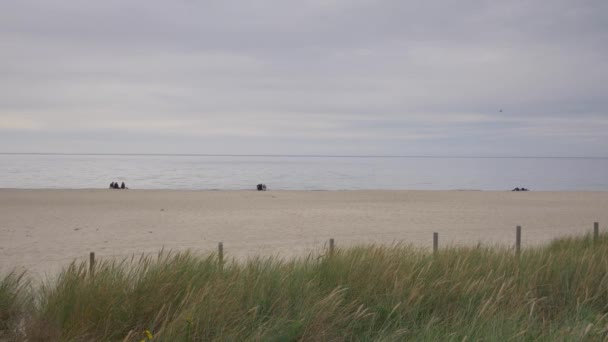 Krajobraz Morze Bałtyckie. — Wideo stockowe