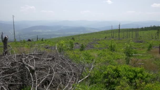Colinas Verdes imagens UHD. Bela paisagem de Montanhas . — Vídeo de Stock