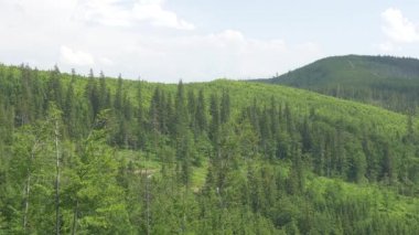 Güzel, Yeşil dağlar.