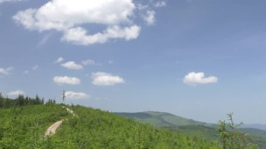 Güzel, Yeşil dağlar.