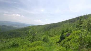 Güzel, Yeşil dağlar.
