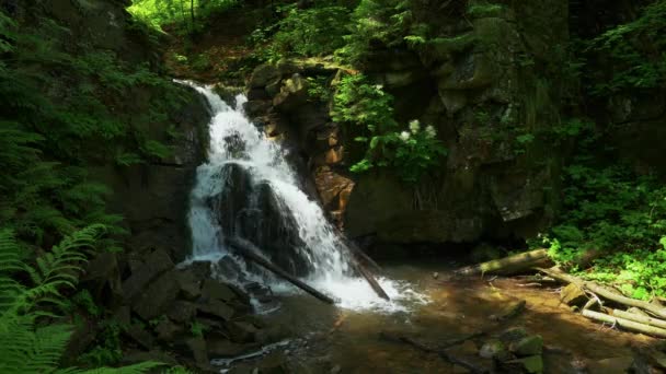 Kleiner Wasserfall mitten im Wald. — Stockvideo