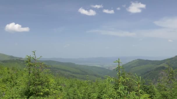 Hermosas montañas verdes . — Vídeo de stock