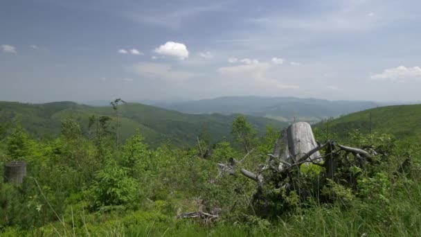 Lindas montanhas verdes . — Vídeo de Stock