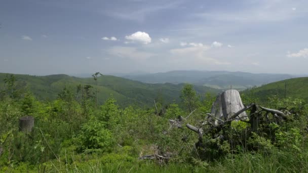 De belles montagnes verdoyantes . — Video