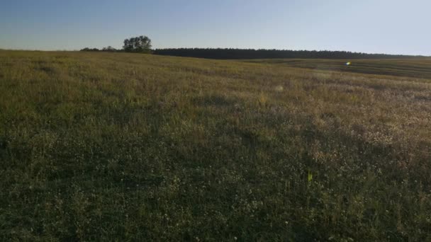 Outono paisagem rural — Vídeo de Stock