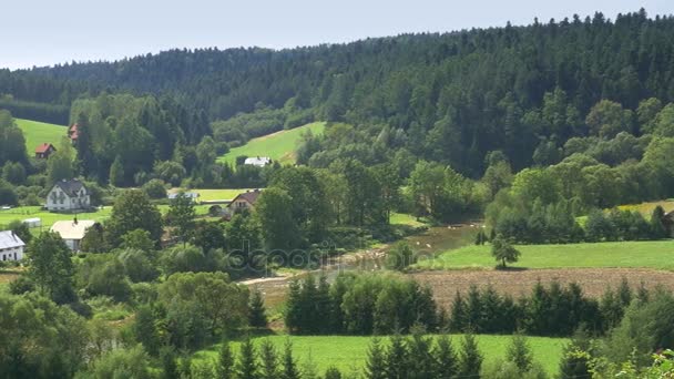 Kleines Dorf inmitten grüner Hügel. — Stockvideo