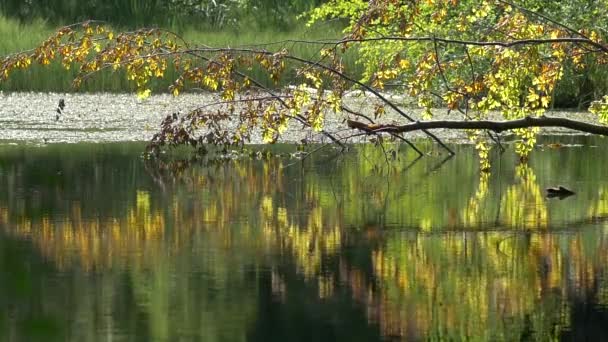 Paisajes de Europa . — Vídeo de stock