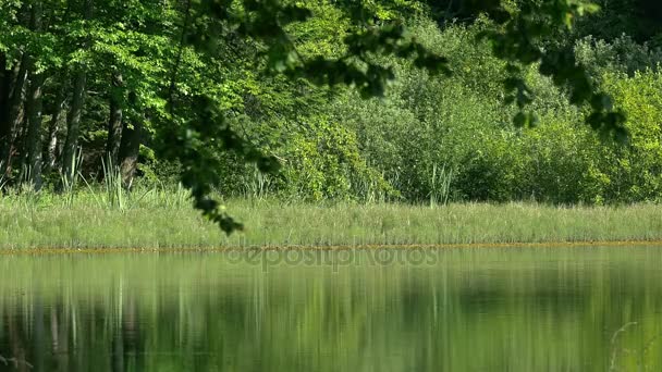 Landschappen van Europa. — Stockvideo