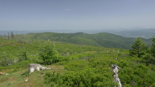 Piękne góry zielony w środku Europy. — Wideo stockowe