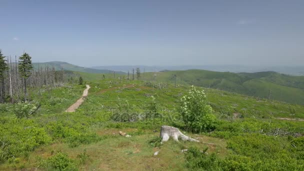 Hermosas montañas verdes en el centro de Europa . — Vídeos de Stock