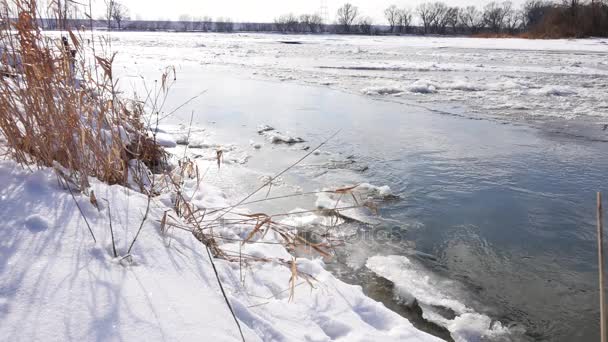 Winter, frosty landschap — Stockvideo