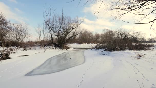 Little pond completely frozen. — Stock Video