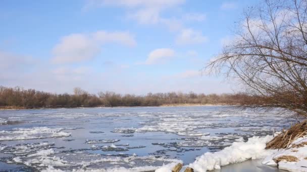 Floes slowly moving in the water. — Stock Video