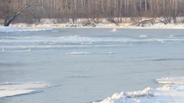 River in winter. — Stock Video
