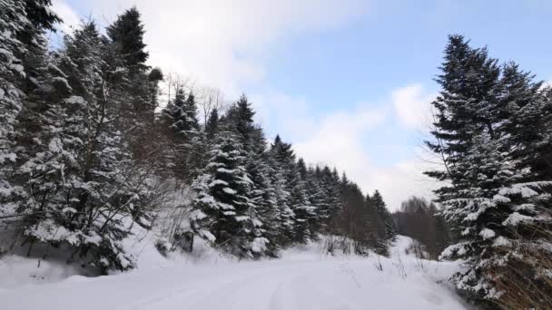 Frostiga, snöiga landskap. — Stockvideo