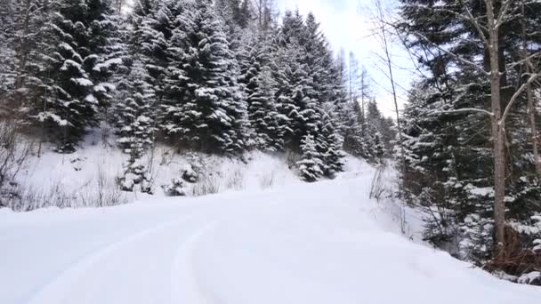Frostiga, snöiga landskap. — Stockvideo