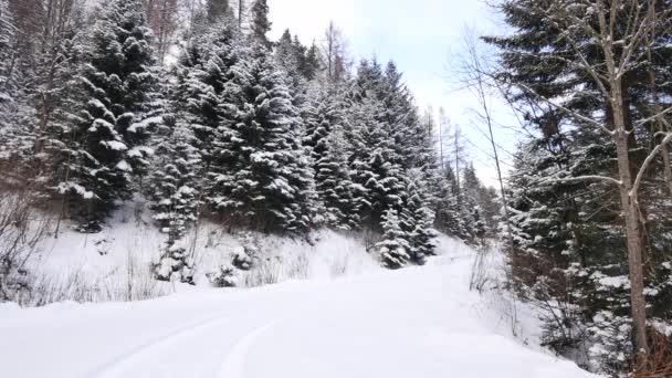 Mroźny, snowy krajobraz. — Wideo stockowe
