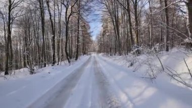 Polonya / yola Komancza yakın / Tarih - 01012017. Yol ormandaki karla kaplı. Avrupa'nın witer.