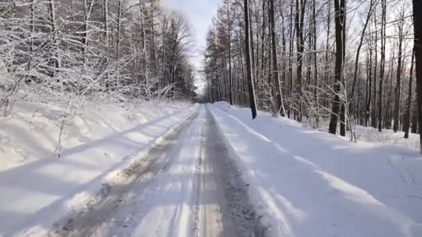 Польша Дорога Команчей Дата 01012017 Дорога Лесу Покрыта Снегом Витер — стоковое видео
