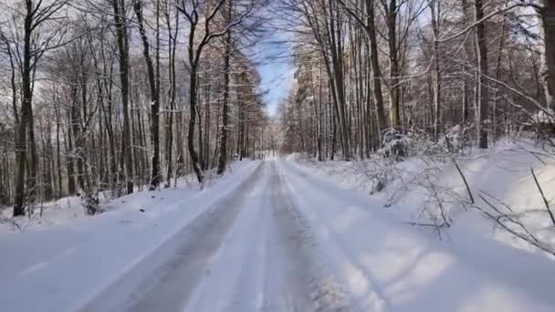 ポーランド Komancza 近くの道路 01012017 森の中の道は 雪に覆われました ヨーロッパ作家 — ストック動画