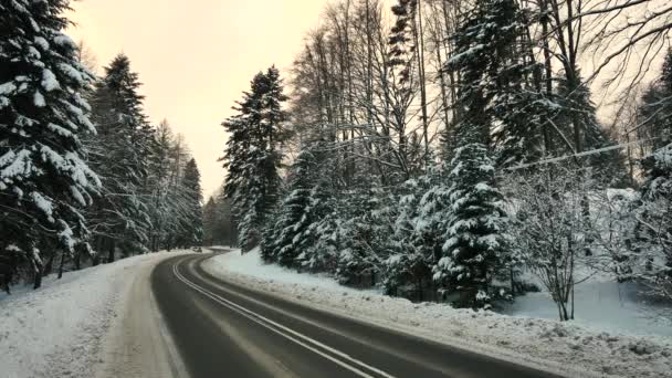 Polen Road Nära Komancza Datum 01012017 Vägen Skogen Täcks Snö — Stockvideo