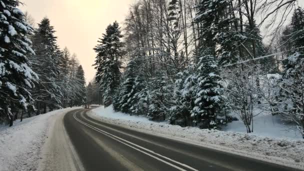 Polónia Estrada Perto Komancza Data 01012017 Estrada Floresta Coberta Neve — Vídeo de Stock