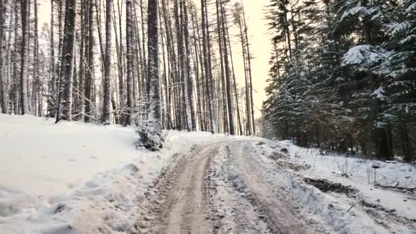 公路近 Komancza 01012017 路在森林里覆盖着白雪 寒假在欧洲 — 图库视频影像