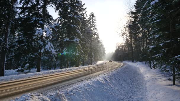 Paisaje invernal en Polonia . — Vídeo de stock