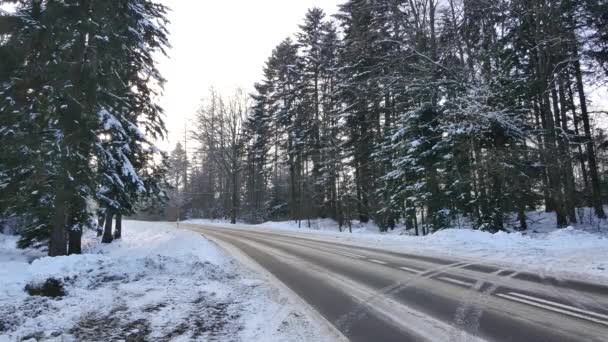 Paisaje invernal en Polonia . — Vídeo de stock