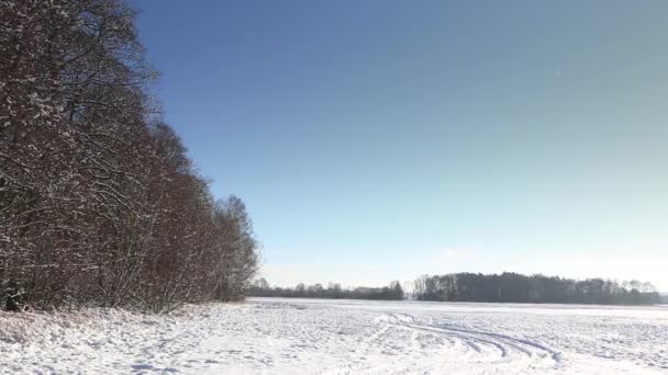 Зимний Пейзаж Full Покрыто Снегом Зимний Пейзаж Европы Солнечный День — стоковое видео