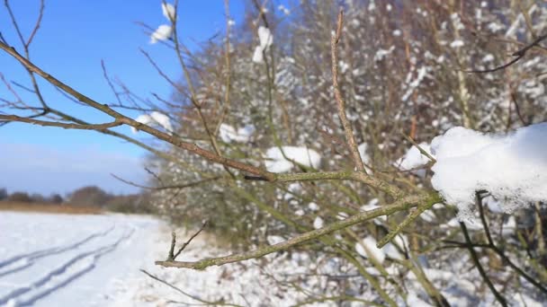 すべてにおけるビジュアルエフェクトの美しい冬の風景は 雪に覆われました 晴れた日にヨーロッパの冬の風景 — ストック動画