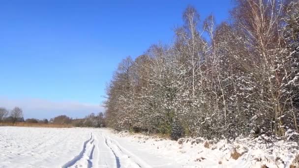 すべてにおけるビジュアルエフェクトの美しい冬の風景は 雪に覆われました 晴れた日にヨーロッパの冬の風景 — ストック動画