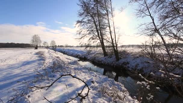 Krásná Zimní Krajina Plné Vše Pod Sněhem Zimní Krajina Slunečný — Stock video
