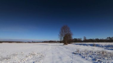 Güzel kış manzara tam Hd. her karla kaplı. Avrupa kış ortamının güneşli.