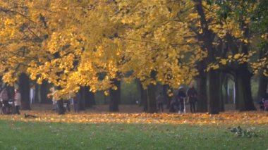 Parkta yürüyüş insanlar. Parkta güzel sonbahar renkleri.