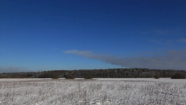 Vackert Vinterlandskap Full Allt Täckt Snö Europa Vinterlandskap Solig Dag — Stockvideo