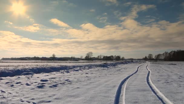 Hermoso Paisaje Invierno Full Todo Cubierto Nieve Europa Paisaje Invierno — Vídeos de Stock