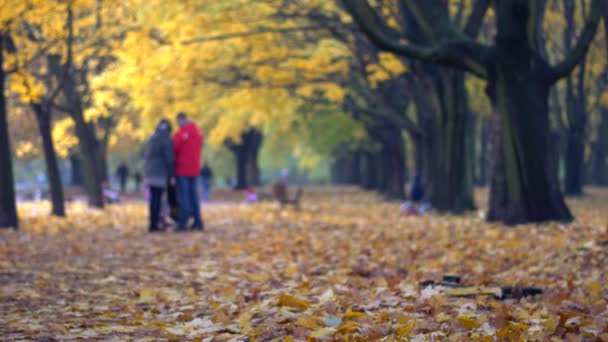 Az emberek séta a parkban. A park gyönyörű őszi színek. — Stock videók