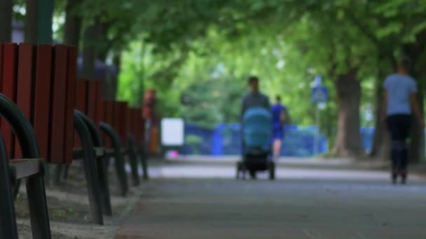 Mensen in groen park in het midden van de zomer. — Stockvideo