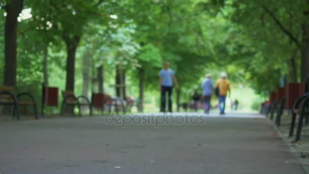 Mensen in groen park in het midden van de zomer. — Stockvideo