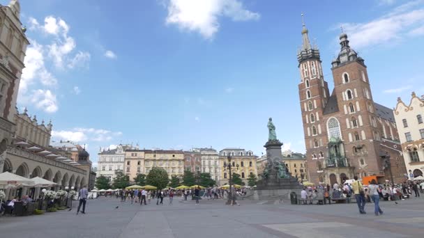 Cracow market square during summer. — Stock Video