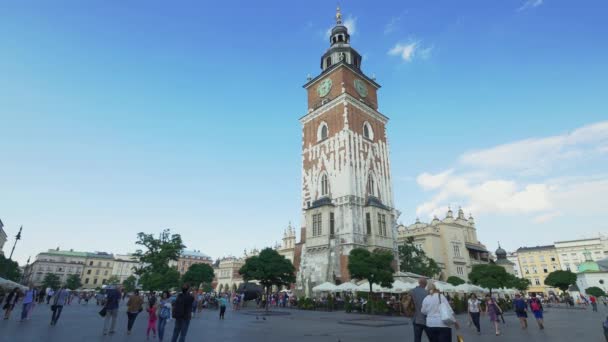 Рыночная площадь Кракова летом . — стоковое видео