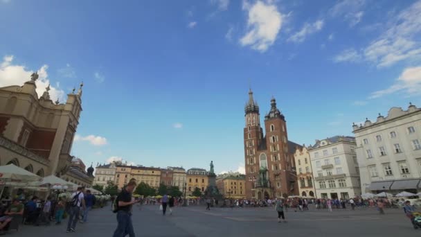 Cracow market square during summer. — Stock Video