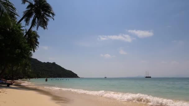 Paraíso tropical en Tailandia con palmeras en la playa. Hermosas playas de arena de Tailandia . — Vídeo de stock