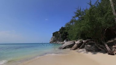 Tropik cennet plaj palmiye ağaçları ile Tayland. Güzel kumlu plajları Tayland. 
