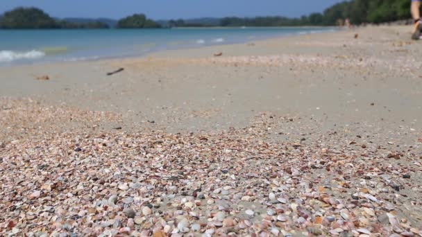 Красивые пляжи Таиланда — стоковое видео