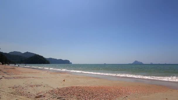 Tailandia Krabi Fecha 02202016 Paraíso Tropical Tailandia Con Palmeras Playa — Vídeo de stock